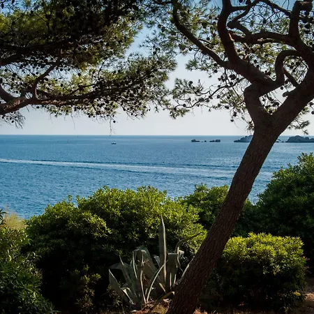 Royal Palm 5* Dubrovnik