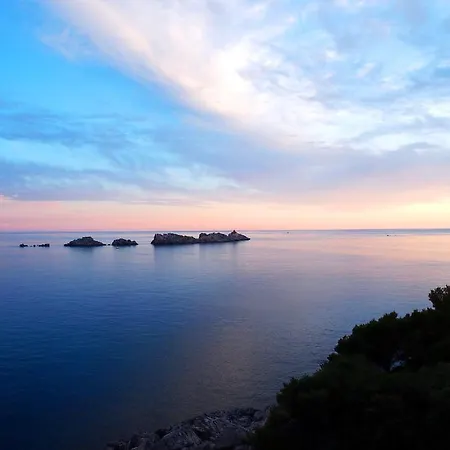 Royal Palm Szálloda