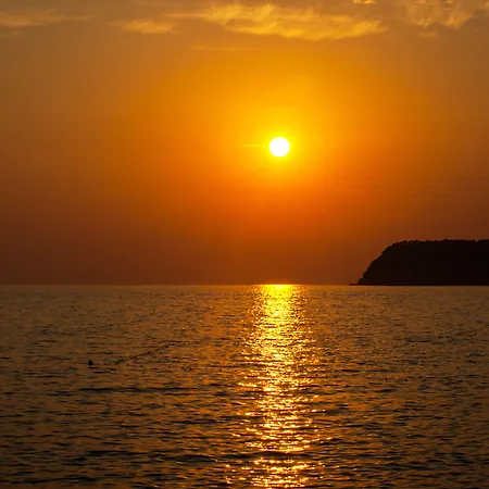 Royal Palm 5* Dubrovnik