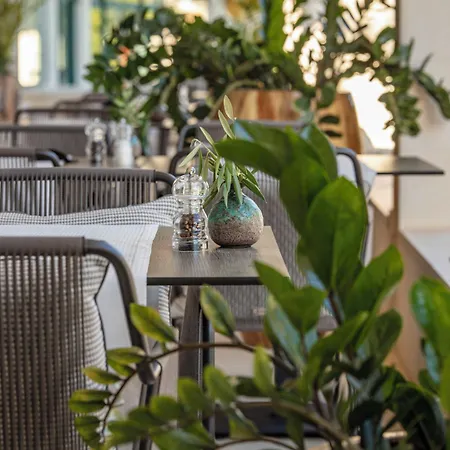 Hotel Royal Palm Dubrovnik