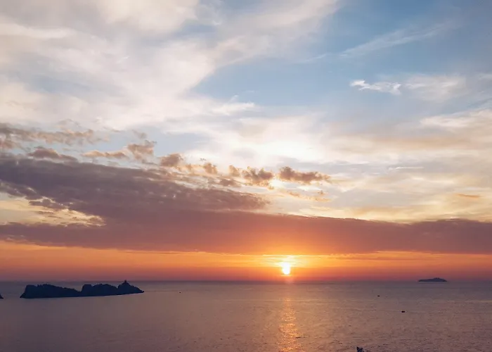 皇家棕榈酒店 酒店 5*